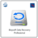 iboysoft data recovery professional crack