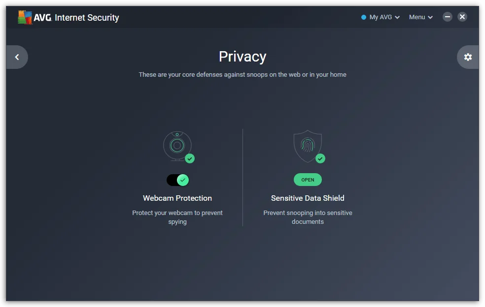 AVG-Internet-Security - Privacy Protection