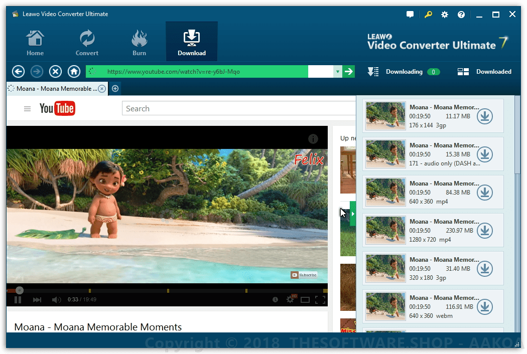 Leawo Video Converter Ultimate - Video Downloader - THESOFTWARESHOP - AAKOA