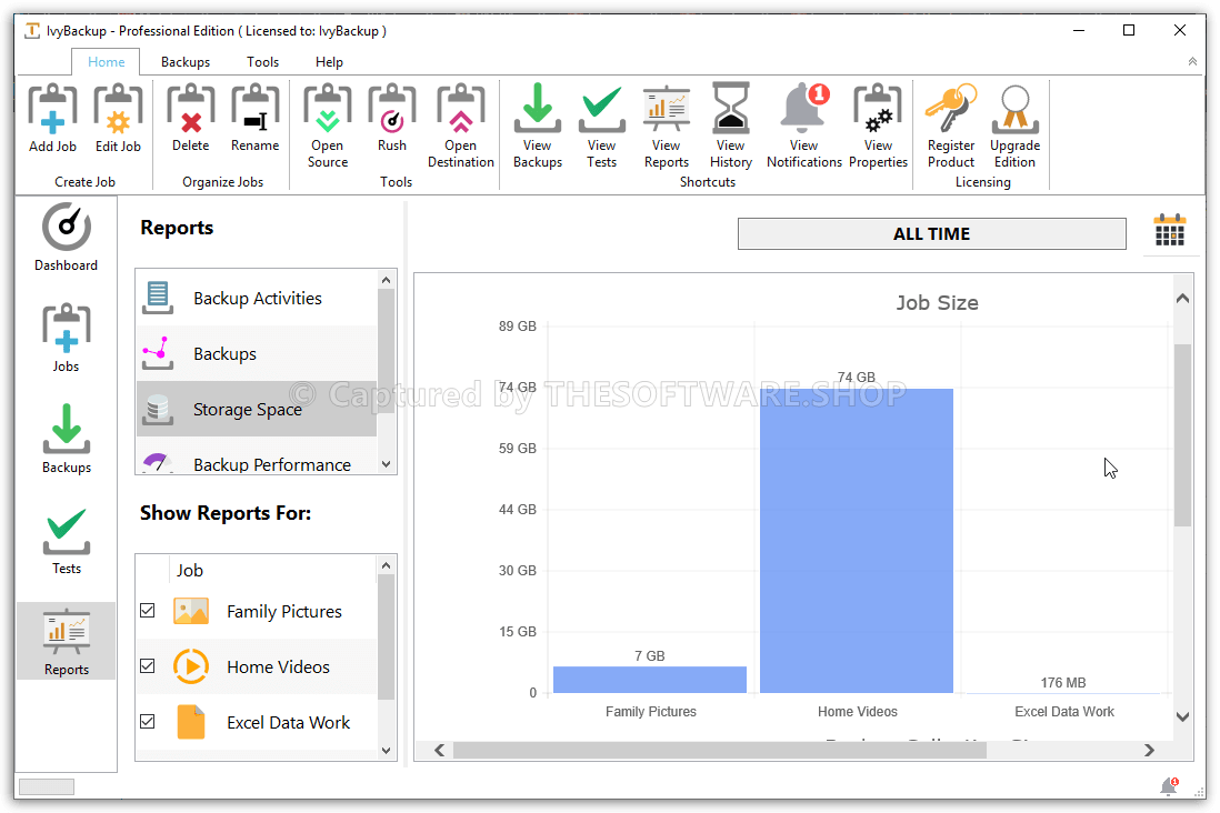 IvyBackup Reports