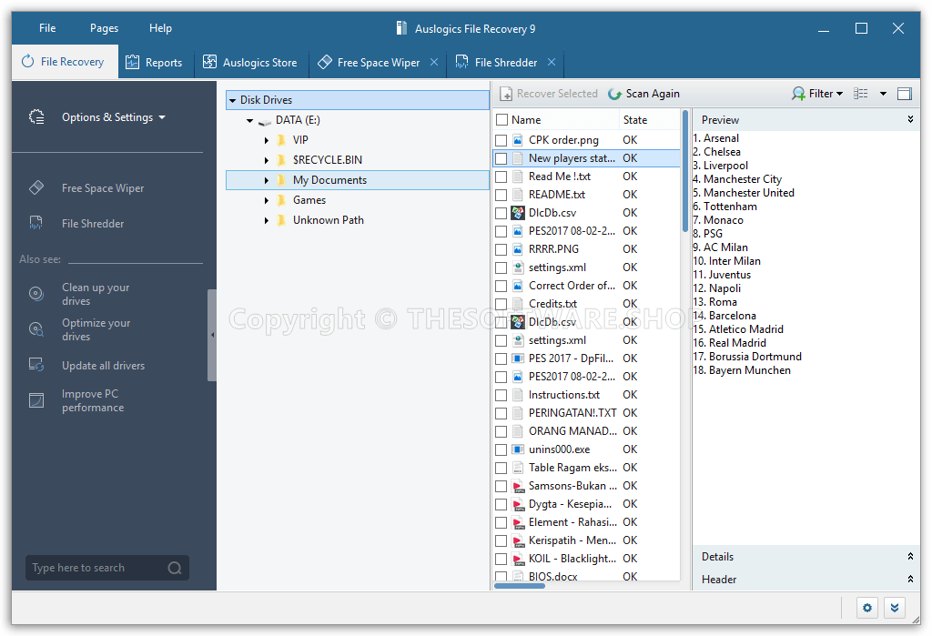 Auslogics File Recovery 9 - Result and Preview