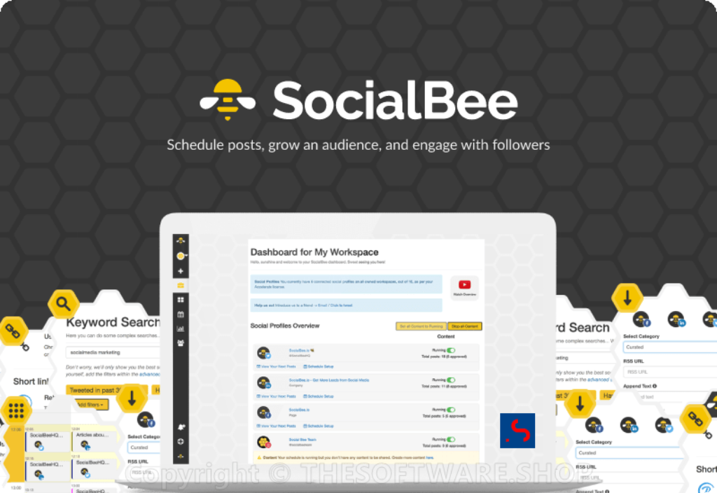 SocialBee Accelerate Plan review free lifetime deal