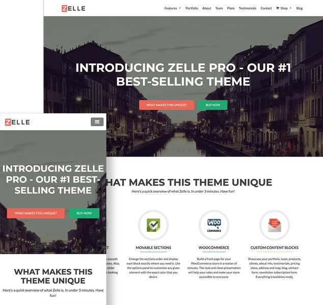 ThemeIsle Zelle Pro