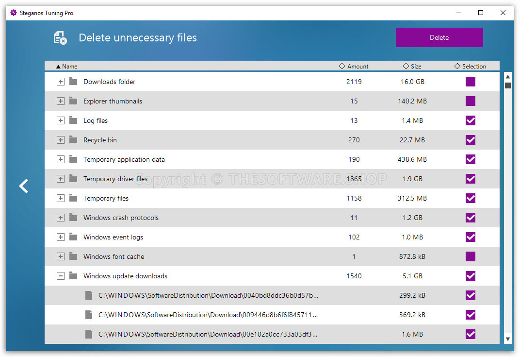 Steganos Tuning PRO Delete Unnecessary Files