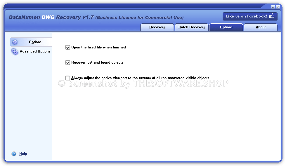 DataNumen DWG Recovery Options