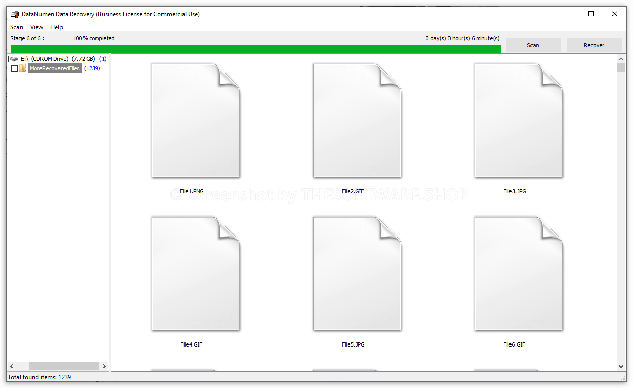 DataNumen Data Recovery -Business License for Commercial Use- 00682 Screenshot