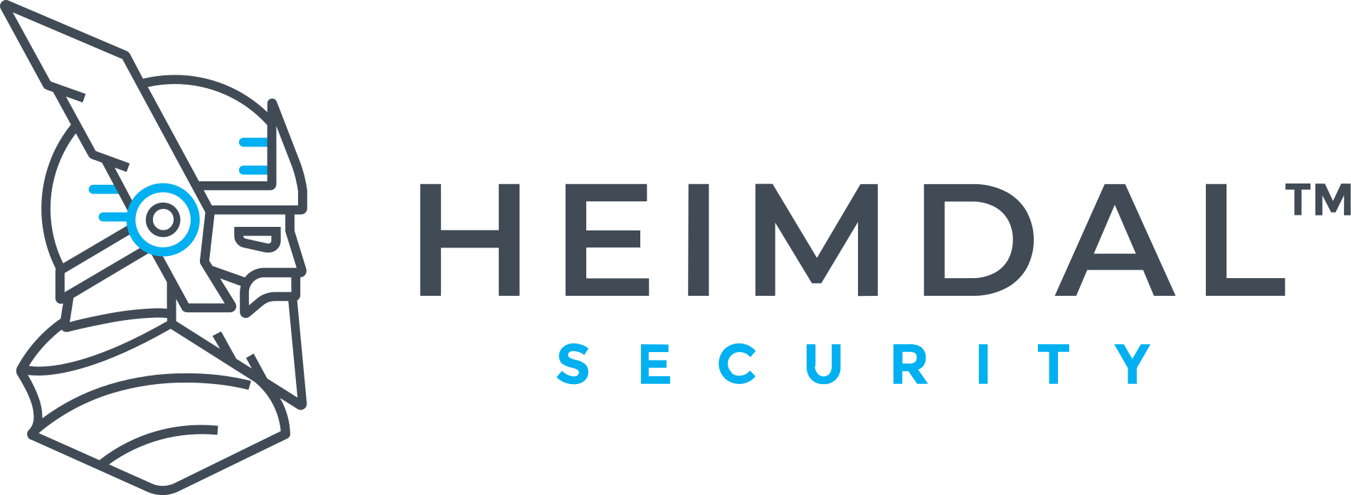 HEIMDAL SECURITY NEW LOGO