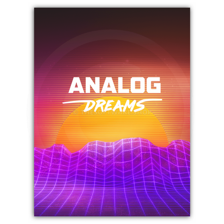 ANALOG DREAMS</p></img>
<p>