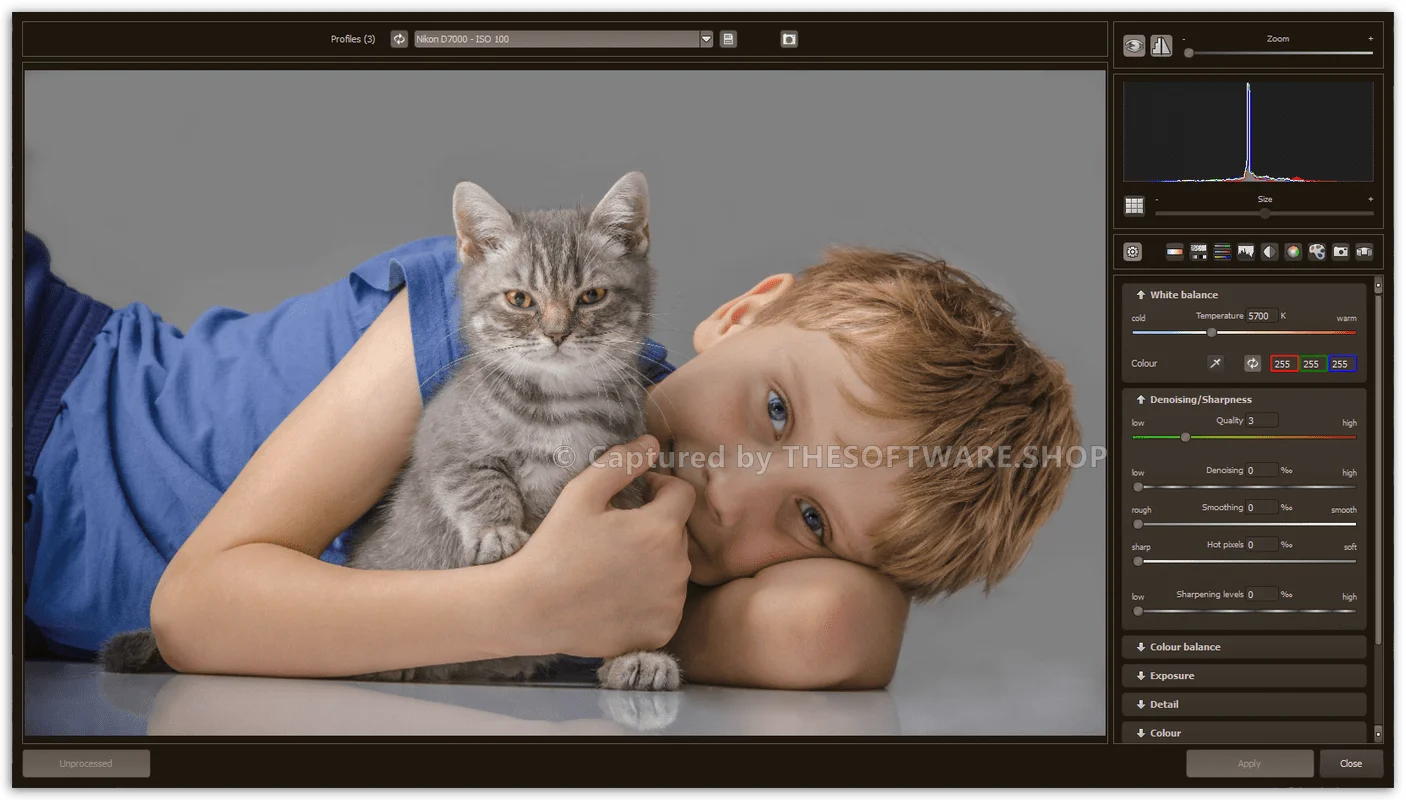FRANZIS-ANALOG-projects-3-A-00950-RAW-processing-Screenshot.png.webp