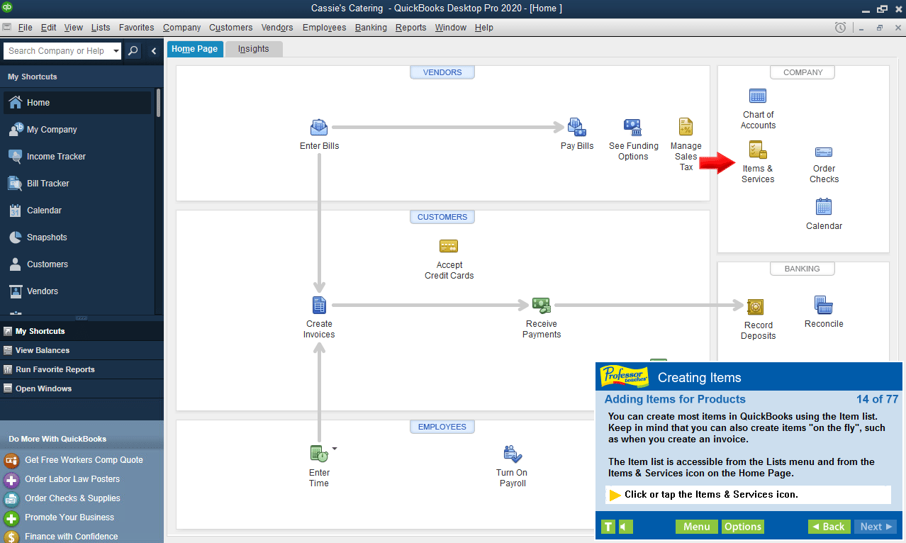 Professor Teaches QuickBooks 2020 Interactive Screenshot 2