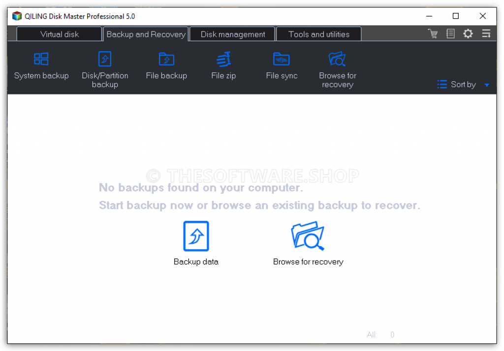 QILING Disk Master Professional 5-0 Screenshot Backup and Recovery