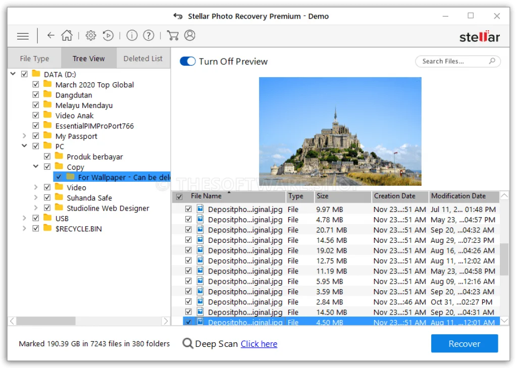 Stellar Photo Recovery Screenshot - List & Preview