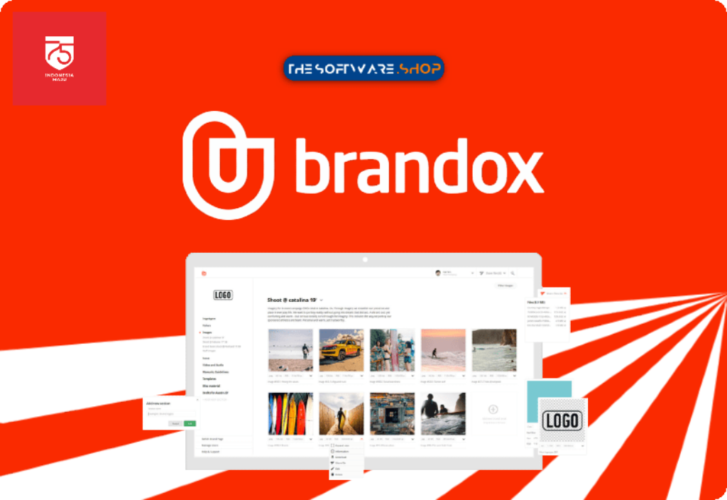 brandox pro review discount coupon sale