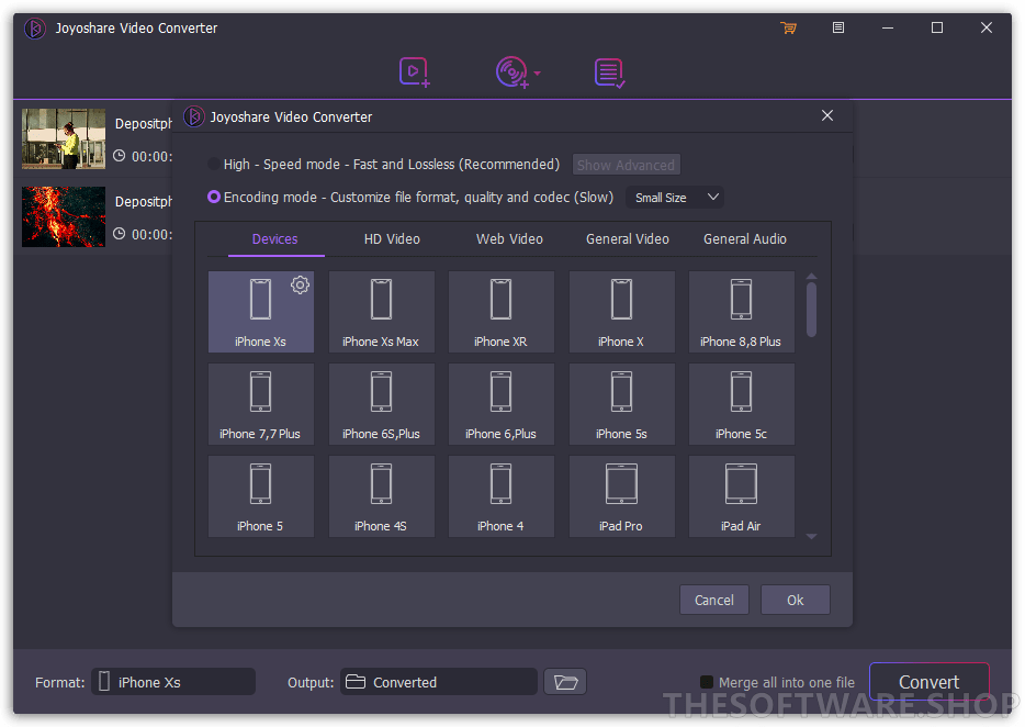 Format Profiles