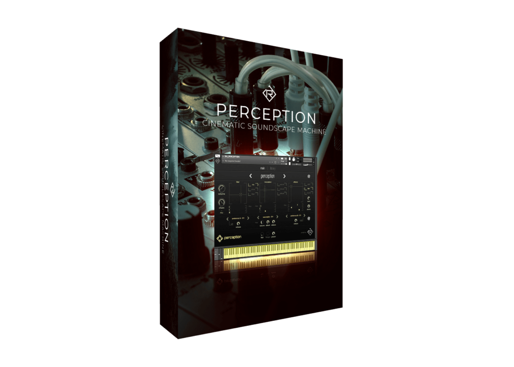 Perception by Rigid Audio Review Discount