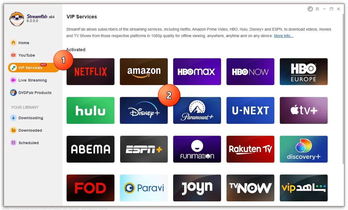 StreamFab Disney Plus Downloader Vip Services