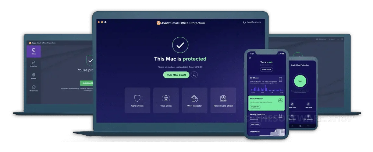Avast Small Office Protection Screenshot
