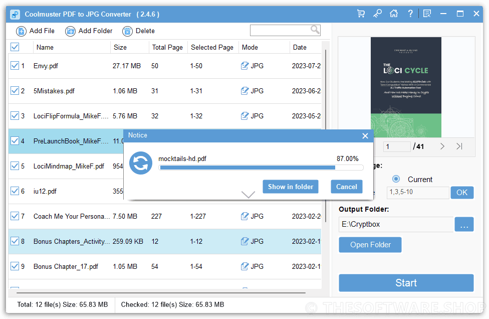 Coolmuster PDF to JPG Converter Processing