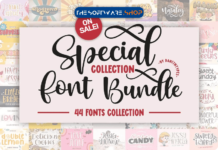 7NTypes Special Collection Font Bundle download Sale