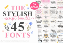 The Stylish Script Font Bundle Sale Download