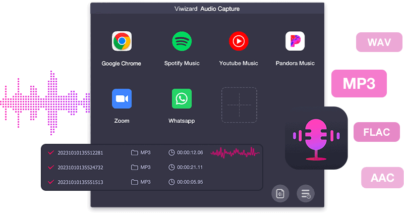 ViWizard Audio Capture Feature Interface