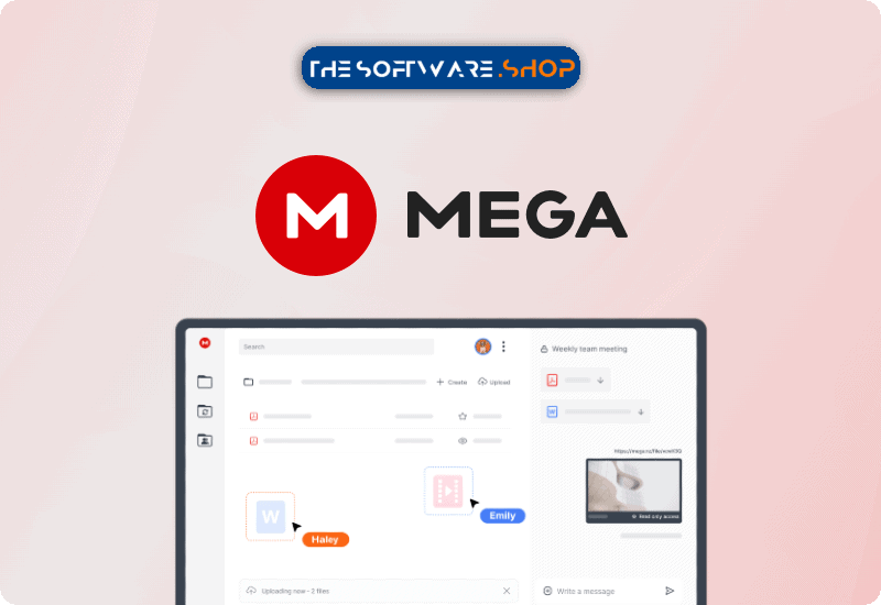 60% Off – MEGA Pro: 1 TB Cloud Storage, 1-year Subscription | All-inclusive User-encrypted Cloud Services – Cloud Storage, Backup, VPN, Chat, Sharing, etc.