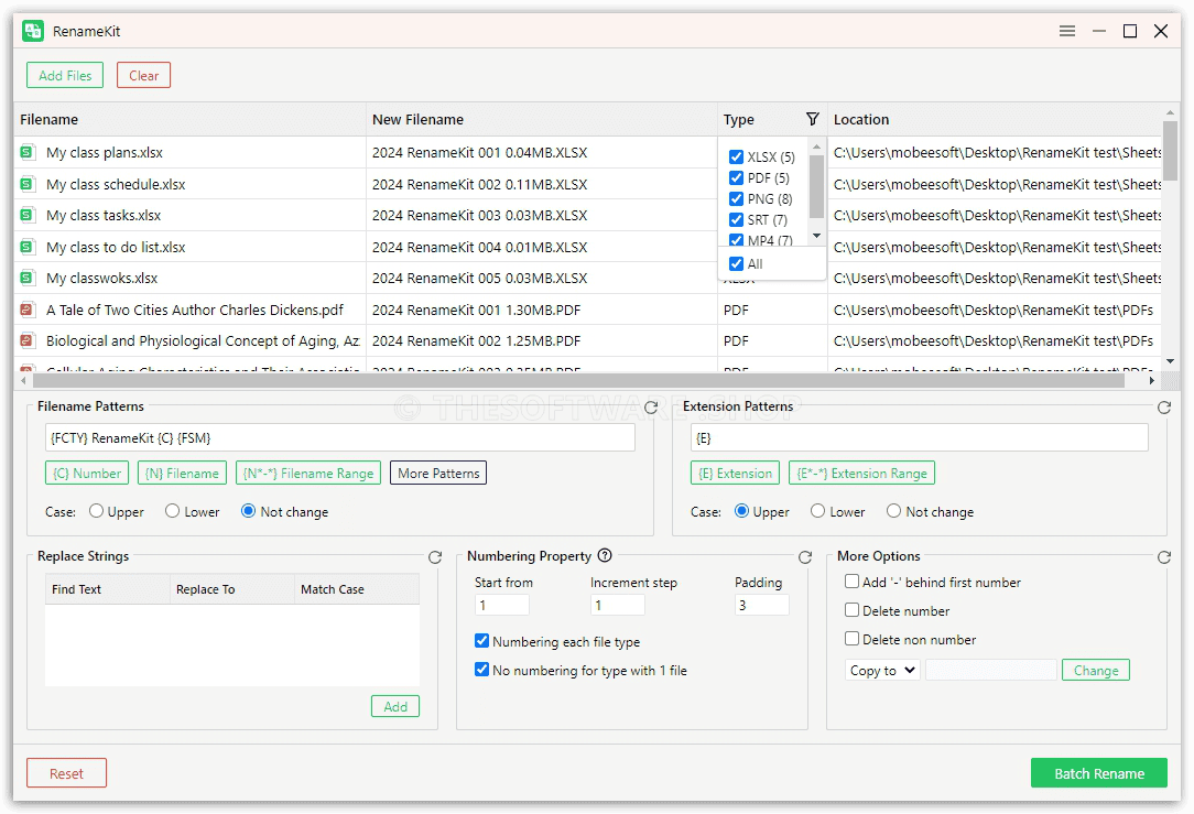 RenameKit Screenshot - Interface