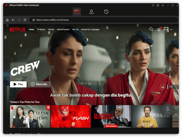 ViWizard Netflix Video Downloader Interface