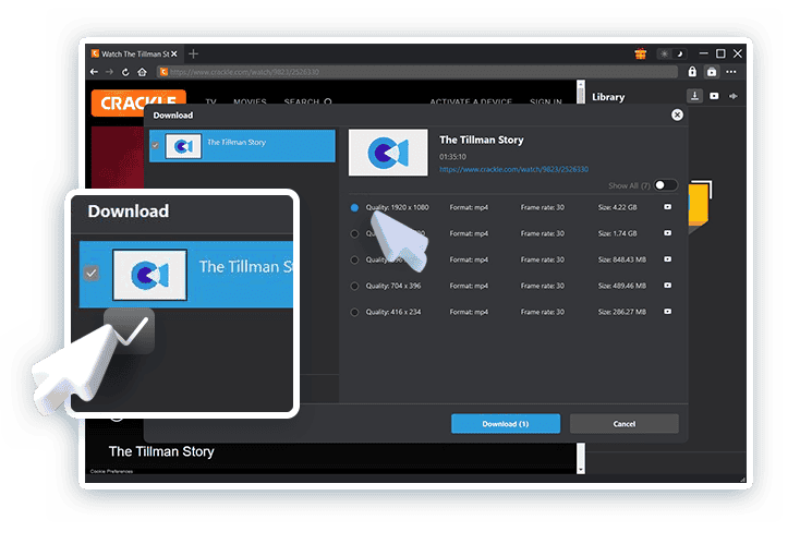 CleverGet Crackle Downloader - Download Options