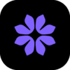 Bloom: Standard Plan — Annual (Save 50%)</p><p>